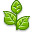 Plant Icon